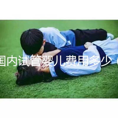 國內(nèi)試管嬰兒費(fèi)用多少(國內(nèi)試管嬰兒費(fèi)用多少錢)