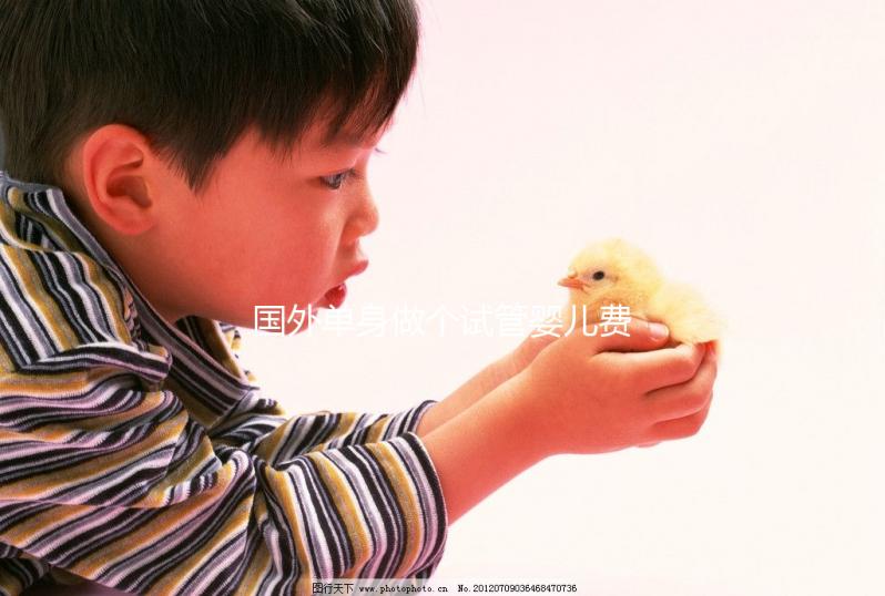 國外單身做個試管嬰兒費用大概要多少?