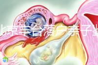 在北京豐臺落戶親子鑒定的地方，首先了解2024年的最新政策