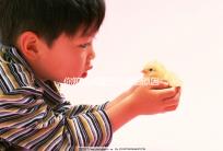 你知道試管空卵泡的原因和癥狀是否會(huì)消失嗎？