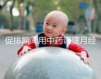 促排期間用中藥調理月經需謹慎，請先弄清楚可不可以吃再說