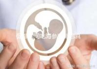 促排期間吃海參對(duì)卵泡真管用，不想取卵空泡找上門(mén)快做攻略