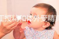 人工授精和體外受精真有區別!這4件事一定要懂得區分