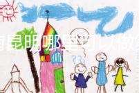 云南昆明哪里可以做第三代試管？截至2024年，只有一個(gè)