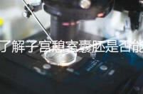 了解子宮憩室囊胚是否能成功移植，這里是否有出血