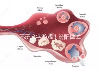 不玩文字游戲！汾陽做試管嬰兒成功率和費(fèi)用一覽