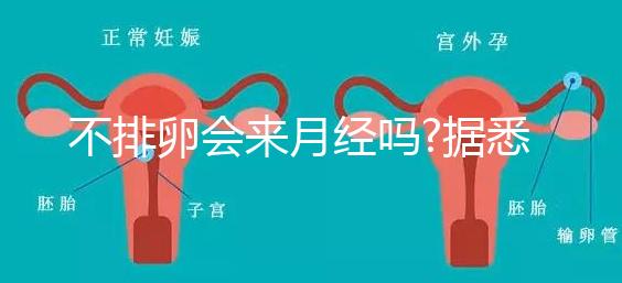 不排卵會(huì)來(lái)月經(jīng)嗎?據(jù)悉并不會(huì)推遲