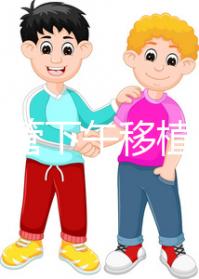 不懂試管下午移植上午要不要請假速覽，何時開始一看便知