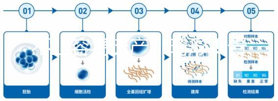 不止容易流產、畸形!告訴你為什么絕經以后不能生孩子