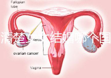 不清楚女女結(jié)婚哪個(gè)國(guó)家能領(lǐng)證來看,歐洲這些地區(qū)都可