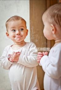 不造只有一個凍胚8細胞二級成功率高不高進，能否著床來瞅