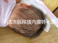 不造凍胚移植內(nèi)膜轉(zhuǎn)化是什么意思？介紹了C型能否改善