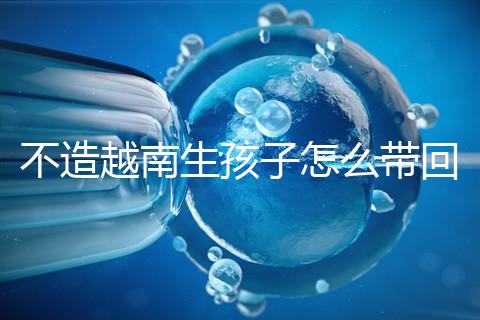 不造越南生孩子怎么帶回國戶口？流程和資料都有