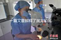 一篇文章解釋了屬龍和屬兔的人能否在一起，他們將如何全部包括在內(nèi)