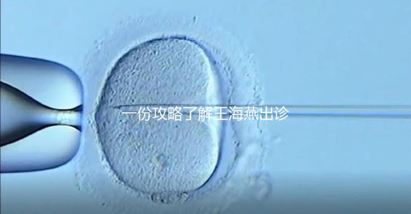 一份攻略了解王海燕出診表,讓你在北醫(yī)三院掛號(hào)更簡(jiǎn)單