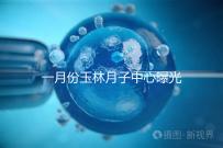 一月份玉林月子中心曝光多少錢？不要錯過2024年福綿三家公司的口碑