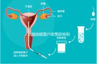 上海結婚落戶政策即將到來，包括2024年黃浦區詳細的戶籍流程