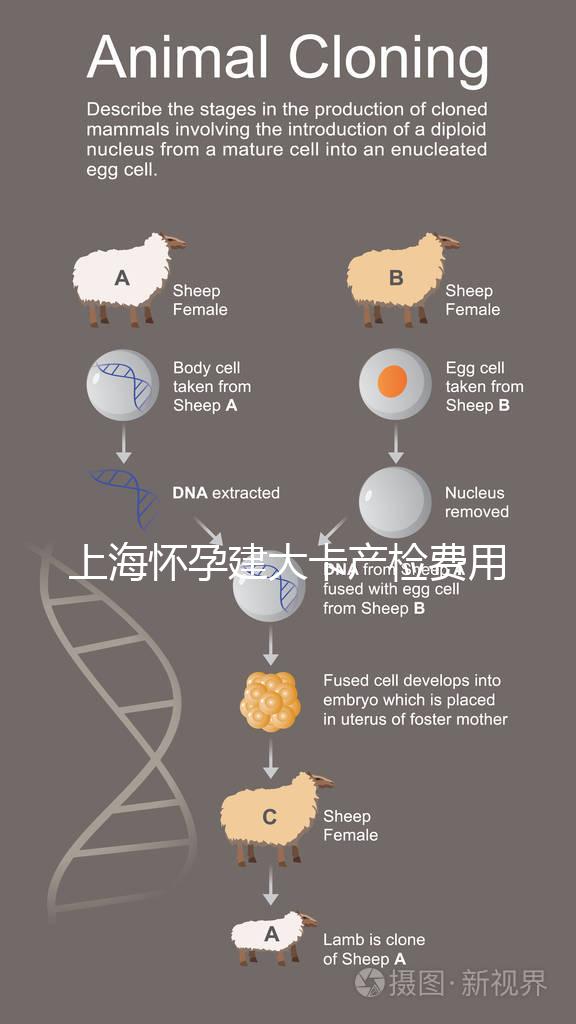 上海懷孕建大卡產檢費用分享，不同地區收費標準差別大！