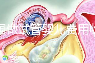 中國做試管嬰兒費(fèi)用收費(fèi)價目表一覽,包含具體成本預(yù)算