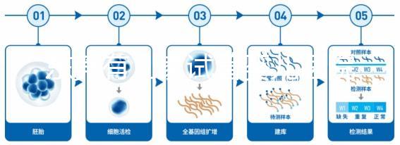 東莞有幾家試管嬰兒醫(yī)院?不同生殖中心費用和成功率詳解