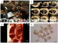 九江市婦幼保健院試管成功率高、費用低？生殖醫(yī)生揭開真相