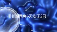 排卵期同房6天吃了2只螃蟹怎么辦戳，對著床影響大要早知
