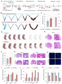 想知道合肥包河區建檔流程戳進來，一文說清要不要結婚證