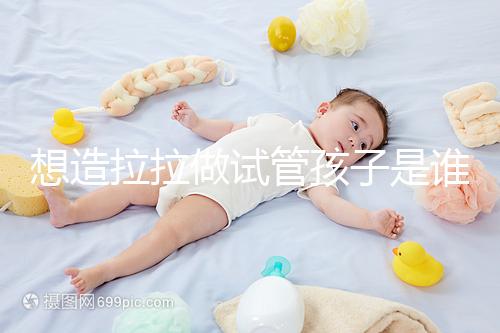 想造拉拉做試管孩子是誰的戳，是否屬于二人看專家怎么說