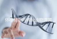 懷孕初期內(nèi)褲分泌物濕黃是男孩！5大原因?yàn)槟憬议_背后真相