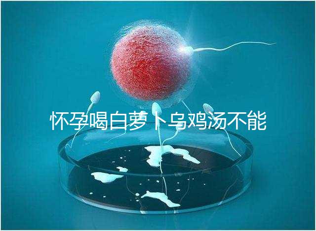 懷孕喝白蘿卜烏雞湯不能止孕吐?選對做法安胎又養顏