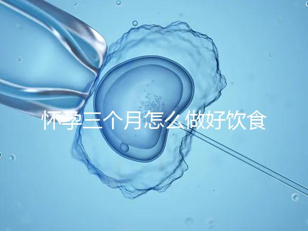 懷孕三個(gè)月怎么做好飲食安排？
