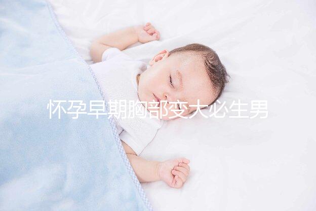 懷孕早期胸部變大必生男孩?3大乳房變化要早知