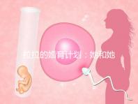 拉拉的婚育計劃：她和她相戀十幾年，終于在塞班結婚了！