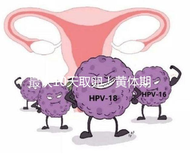 最快10天取卵！黃體期促排需要多長時間看這個指標