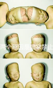 有兩個(gè)原因是國(guó)家禁止中非混血中國(guó)會(huì)接受嗎？