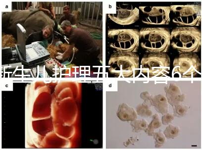 新生兒護理五大內容6個要點整理，嬰兒養育照護干貨來了