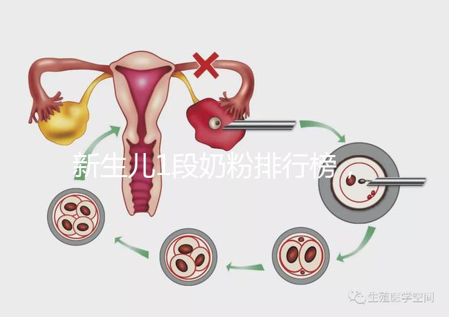 新生兒1段奶粉排行榜，口碑好、價格實惠的品牌紛紛上榜