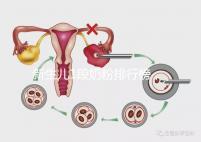 新生兒1段奶粉排行榜，口碑好、價格實惠的品牌紛紛上榜