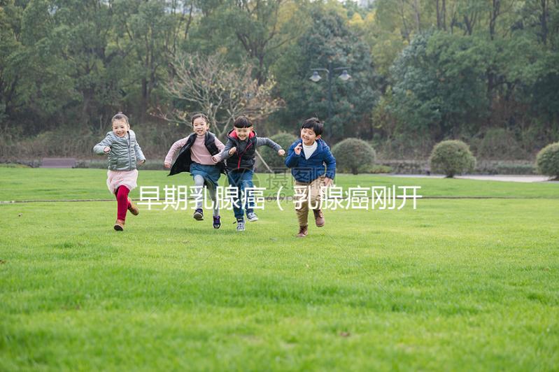 早期乳腺癌(乳腺癌剛開始什么感覺)