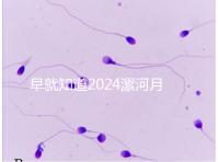 早就知道2024漯河月子中心的價格表了！媽咪悅只需要這個數字