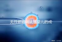 無(wú)性婚姻做試管嬰兒的成功率2024，一文說(shuō)清有沒(méi)有用