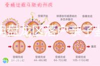 昆明盤龍區(qū)落戶親子鑒定在哪里看這，2024流程、費(fèi)用都有