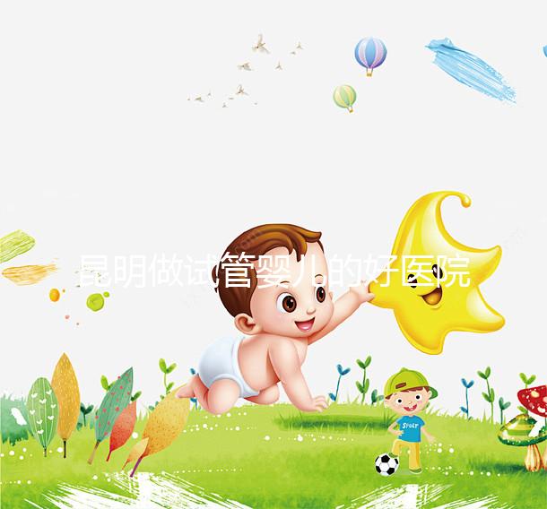 昆明做試管嬰兒的好醫(yī)院排名