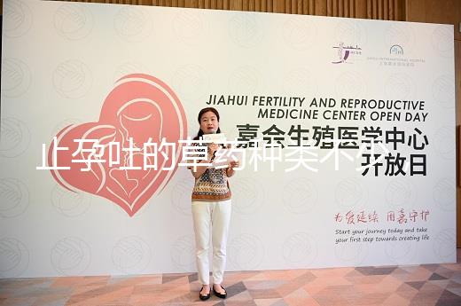 止孕吐的草藥種類不少，胡椒草、半夏…幫你輕松渡過孕早期