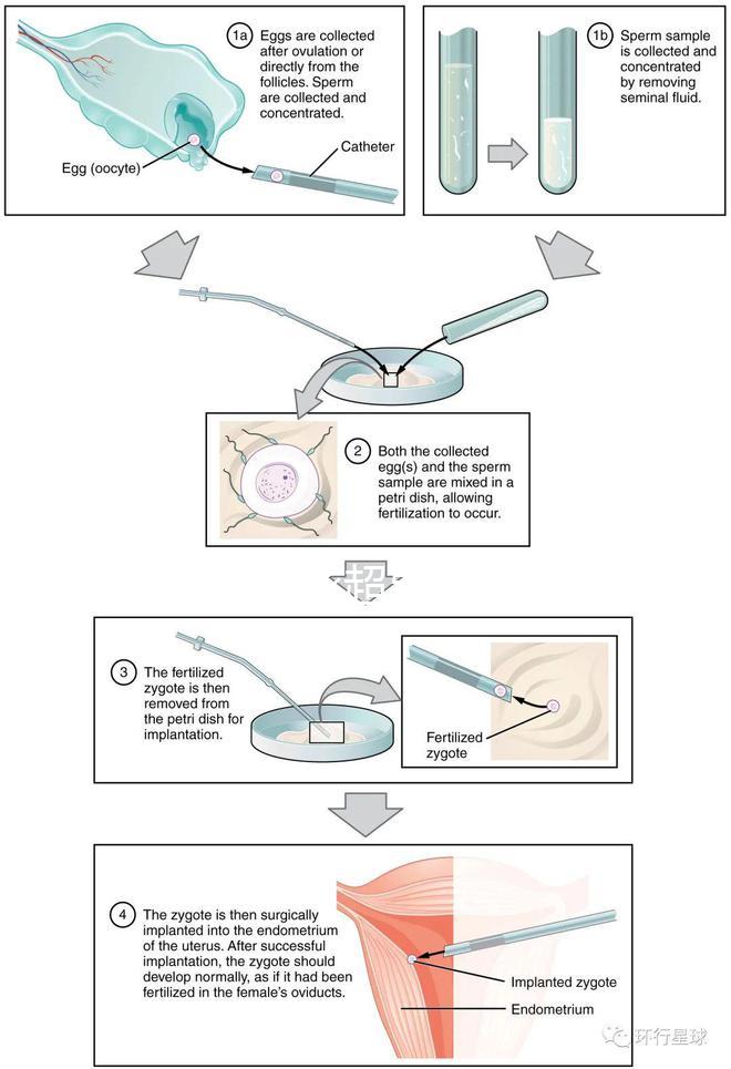 武漢四維彩超費用表整理，內附市婦保院超全預約攻略