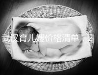 武漢育兒嫂價格清單，2024年橋口等正規機構不要錯過