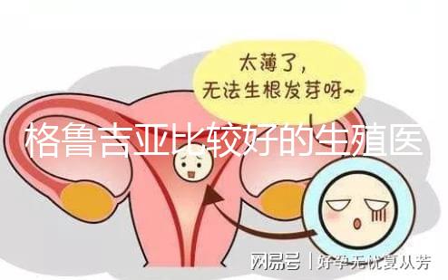 格魯吉亞比較好的生殖醫院是哪家，助孕成功率高還看這4家