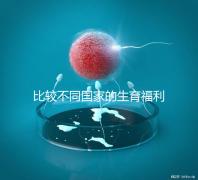 比較不同國家的生育福利｜生孩子還能拿到錢嗎？