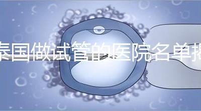 泰國(guó)做試管的醫(yī)院名單揭曉,一覽頂尖機(jī)構(gòu),輕松幫你選擇!