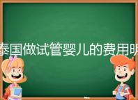 泰國(guó)做試管嬰兒的費(fèi)用明細(xì)公開，一次大概花20萬左右